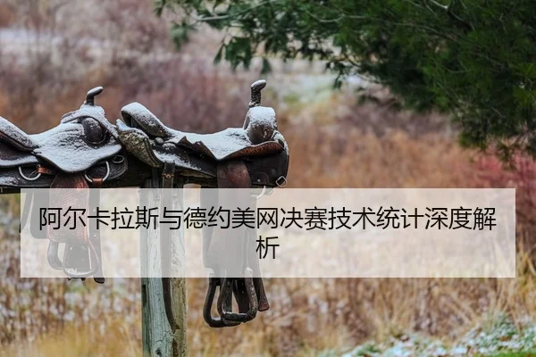 阿尔卡拉斯与德约美网决赛技术统计深度解析